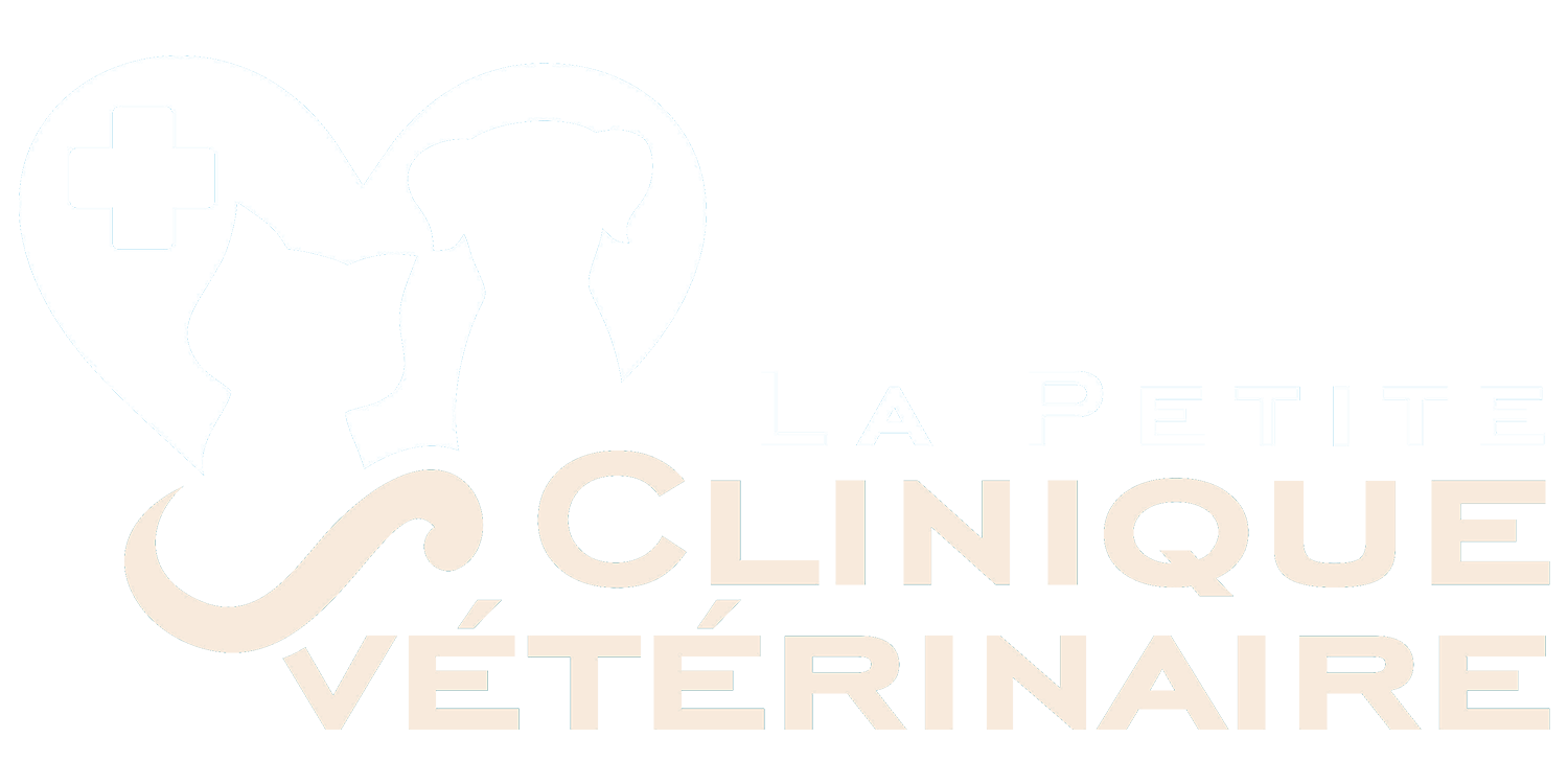 La Petite Clinique